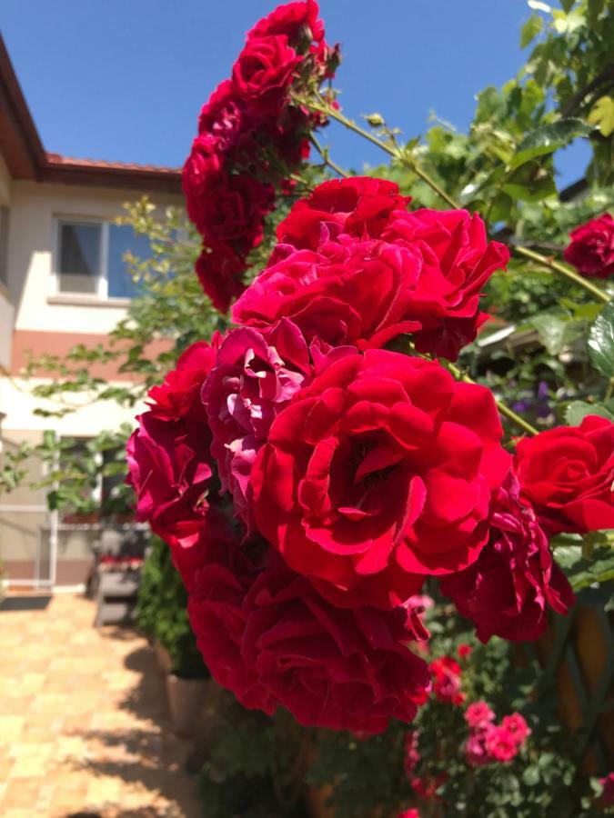Black Sea House Apartment Констанца Екстериор снимка